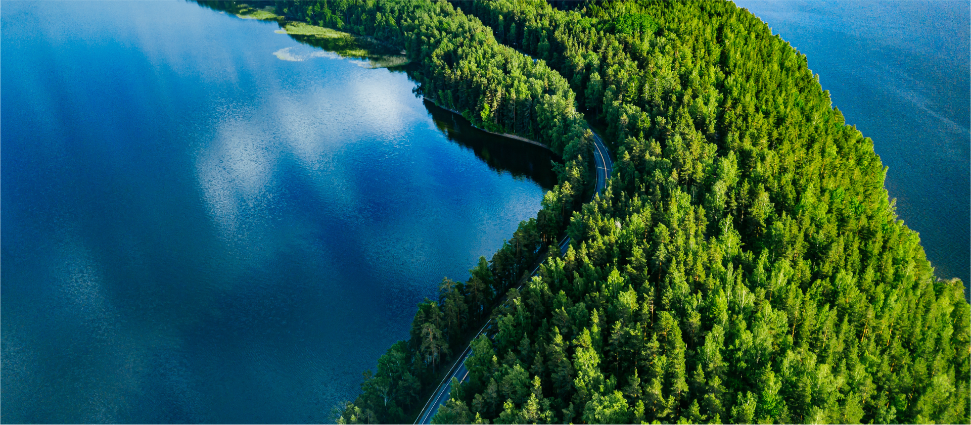 新日興股份有限公司
