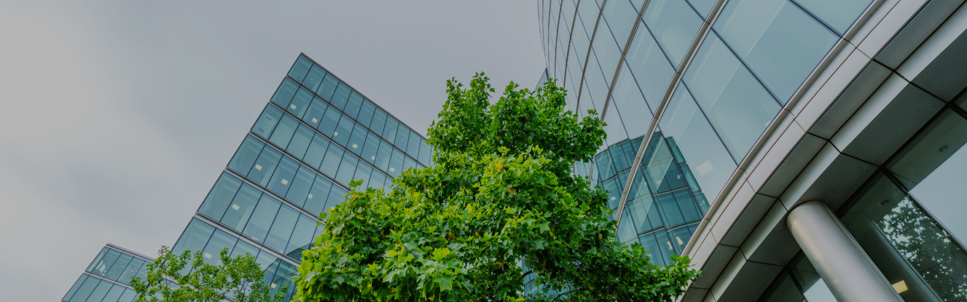 新日興股份有限公司